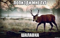 Попизди мне тут Шалавка