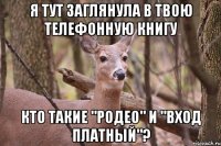 я тут заглянула в твою телефонную книгу кто такие "родео" и "вход платный"?