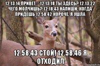 12.13.14 Привет :* 12.13.18 Ты здесь? 12.13.22 Чего молчишь? 12.18.43 Напиши, когда придешь 12.58.42 Короче, я ушла 12.58.43 СТОЙ! 12.58.46 Я отходил