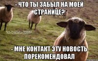 - Что ты забыл на моей странице? - Мне контакт эту новость порекомендовал