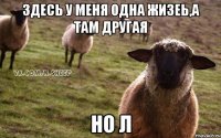 здесь у меня одна жизеь,а там другая но л