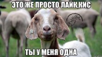 это же просто лайк,кис ты у меня одна