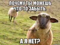 почему ты можешь что-то забыть, а я нет?