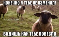 Конечно я тебе не изменял! Видишь,как тебе повезло