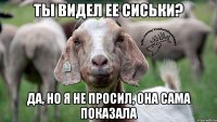 ты видел ее сиськи? да, но я не просил, она сама показала