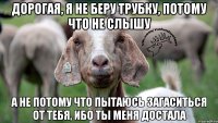 ДОРОГАЯ, Я НЕ БЕРУ ТРУБКУ, ПОТОМУ ЧТО НЕ СЛЫШУ А НЕ ПОТОМУ ЧТО ПЫТАЮСЬ ЗАГАСИТЬСЯ ОТ ТЕБЯ, ИБО ТЫ МЕНЯ ДОСТАЛА