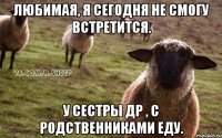 Любимая, я сегодня не смогу встретится. У сестры др , с родственниками еду.