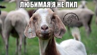 Любимая,я не пил 