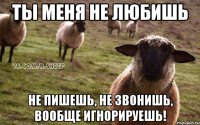 ты меня не любишь не пишешь, не звонишь, вообще игнорируешь!