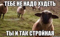 Тебе не надо худеть Ты и так стройная