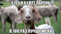 у тебя будет парень в 100 раз лучше меня