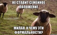 Не ставит семейное положение Милая, к чему эти формальности?