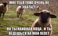 Мне тебя тоже очень не хватает но ты наивная овца.. И ты ведешься на мой лепет