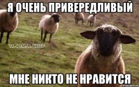 я очень привередливый мне никто не нравится