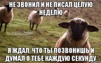 Не звонил и не писал целую неделю Я ждал, что ты позвонишь и думал о тебе каждую секунду