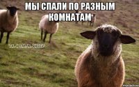 мы спали по разным комнатам 