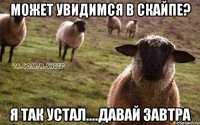 может увидимся в скайпе? Я так устал....давай завтра