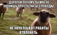 -дорогой, почему ты мне не звонишь просто так, без повода? -не хочу тебя от работы отвлекать.