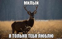 Милый Я только тебя люблю