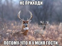 Не приходи Потому-что я у меня гости.