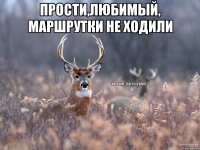 Прости,любимый, маршрутки не ходили 