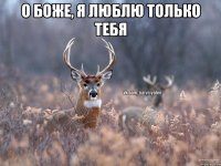 о боже, я люблю только тебя 