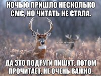 Ночью пришло несколько смс, но читать не стала. Да это подруги пишут, потом прочитает, не очень важно.