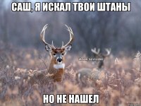 Саш, я искал твои штаны но не нашел