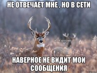 Не отвечает мне , но в сети Наверное не видит мои сообщения