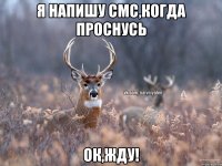 я напишу смс,когда проснусь ок,жду!