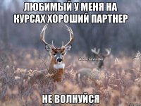 Любимый у меня на курсах хороший партнер не волнуйся