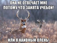 Она не отвечает мне потому что занята учёбой! Или я наивный олень!