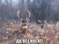  Да, все носят!