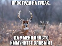 Простуда на губах.. Да у меня просто иммунитет слабый !