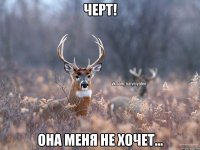 Черт! Она меня не хочет...