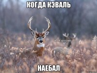 Когда Кэваль Наебал