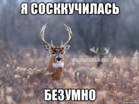 Я сосккучилась БЕЗУМНО