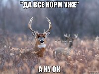 "Да все норм уже" А ну ок