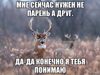 мне сейчас нужен не парень а друг. да-да конечно я тебя понимаю