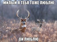 милый я тебя тоже люблю ой люблю