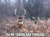  Ты не такой как раньше