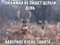 Любимая не пишет целый день Наверное очень занята:***