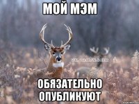 мой мэм обязательно опубликуют