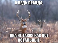 А ВЕДЬ ПРАВДА, ОНА НЕ ТАКАЯ КАК ВСЕ ОСТАЛЬНЫЕ.