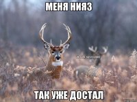 Меня Нияз Так уже достал