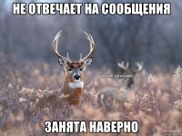 не отвечает на сообщения занята наверно