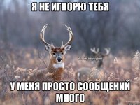 Я не игнорю тебя У меня просто сообщений много