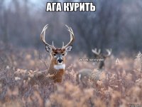 ага курить 