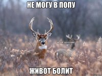 Не могу в попу Живот болит