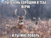 Ты очень хороший,я тебе верю И ты мне поверь